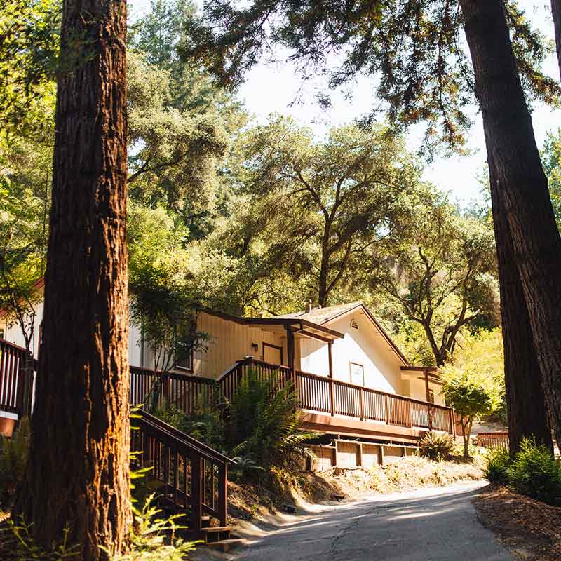 Main Cabin with deck surrounded by trees on hillside