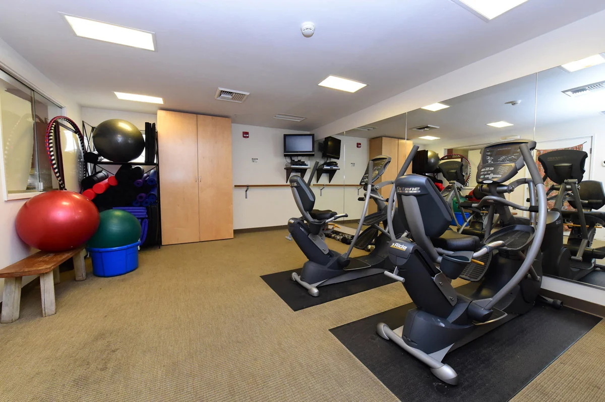 Small gym with cardio machines and exercise balls