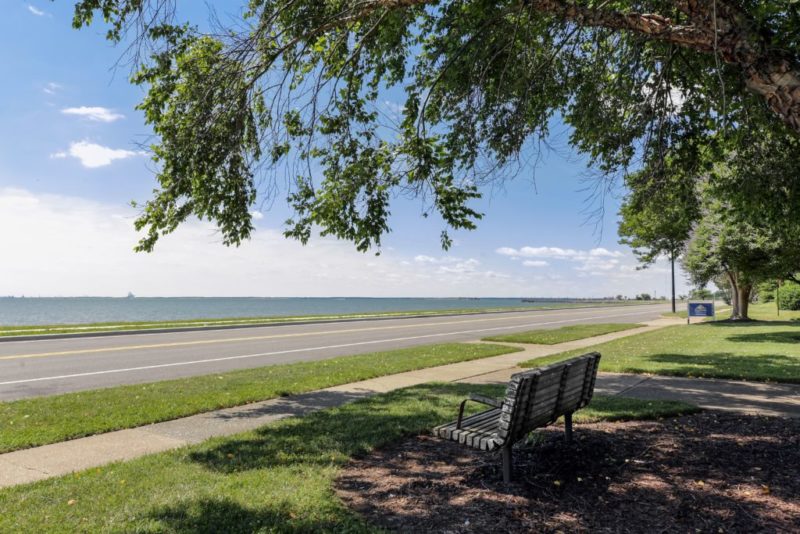 Bench under tree with ocean view across the road