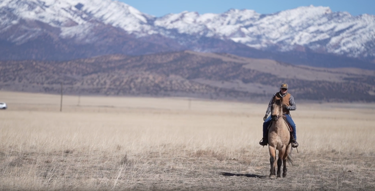 Man rides a horse alone across a dry plain with mountains in view.