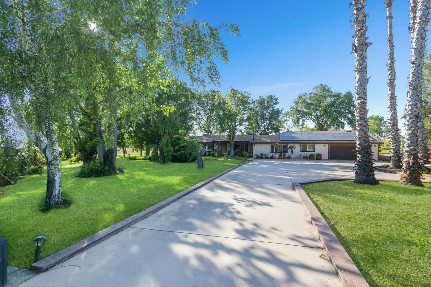 Long driveway with home and palm trees in daylight