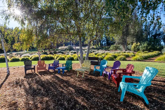 Colorful chairs in shaded outdoor circle