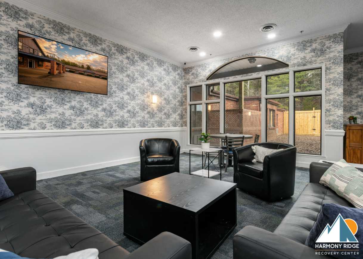 A modern lounge with black leather chairs and large windows