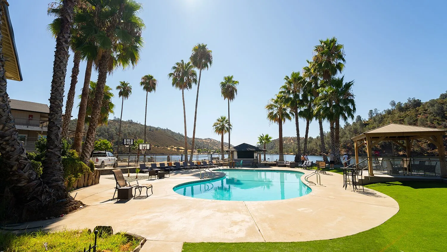 Outdoor pool surrounded by palm trees overlooking the lake.