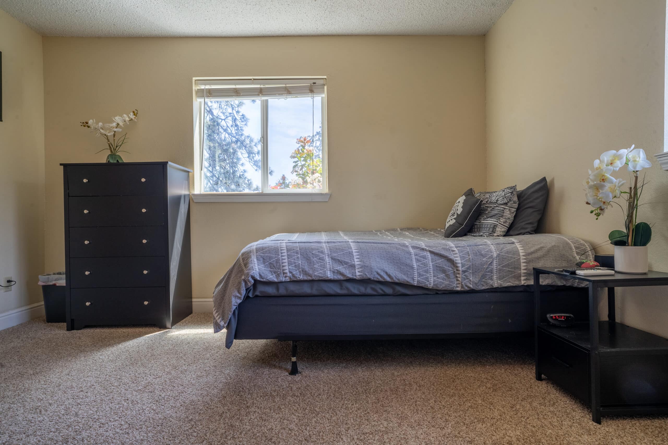 Simple and clean single bedroom with neutral tones, nightstand, dresser, and potted flowers near the window