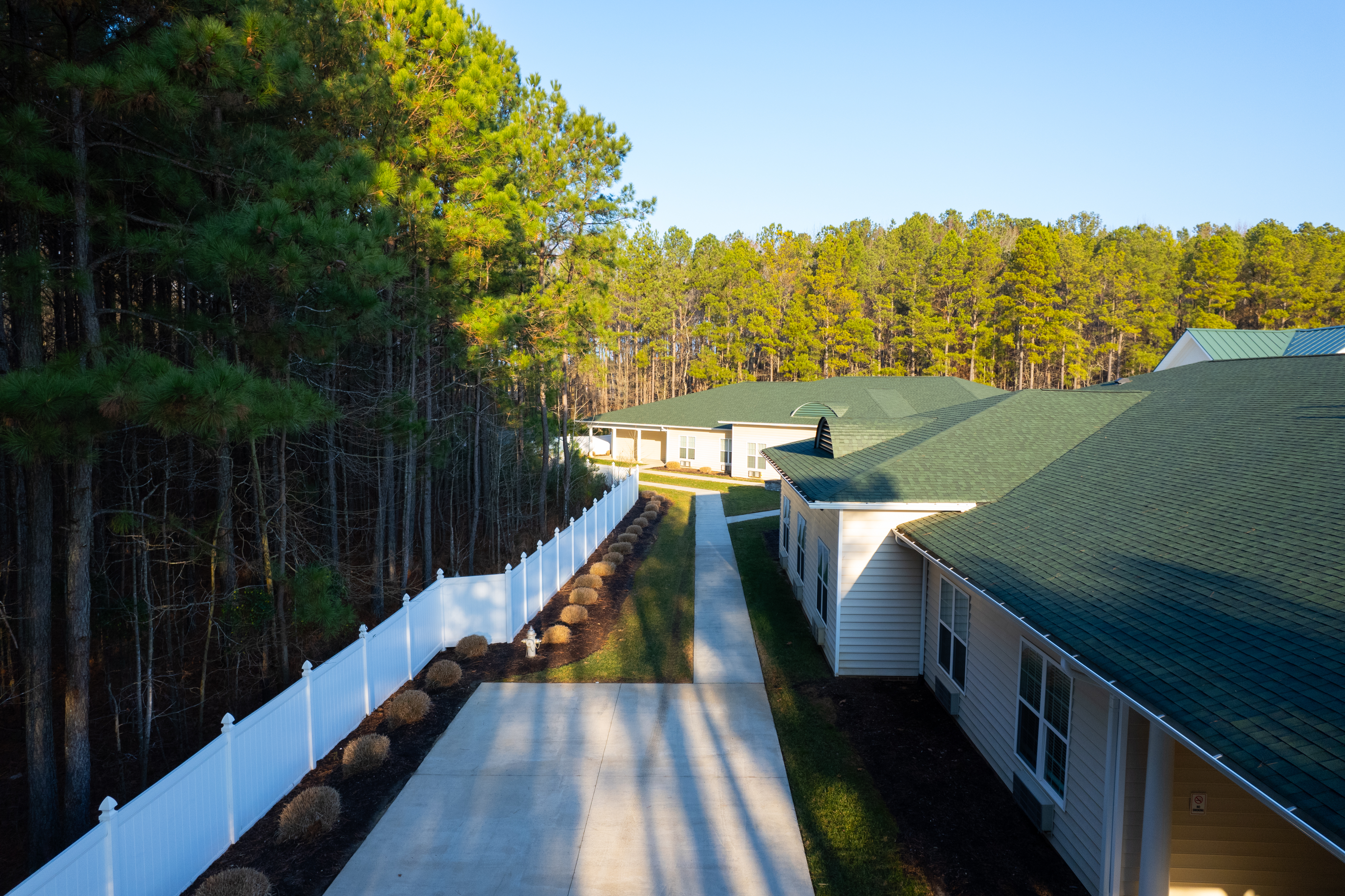 Pathway between rehab buildings next to tall pine trees