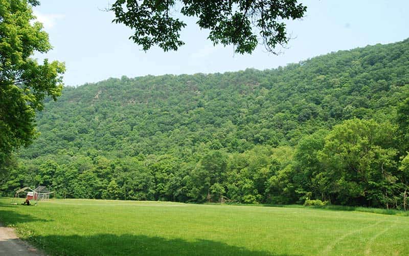 Open grassy field beneath a densely wooded mountain
