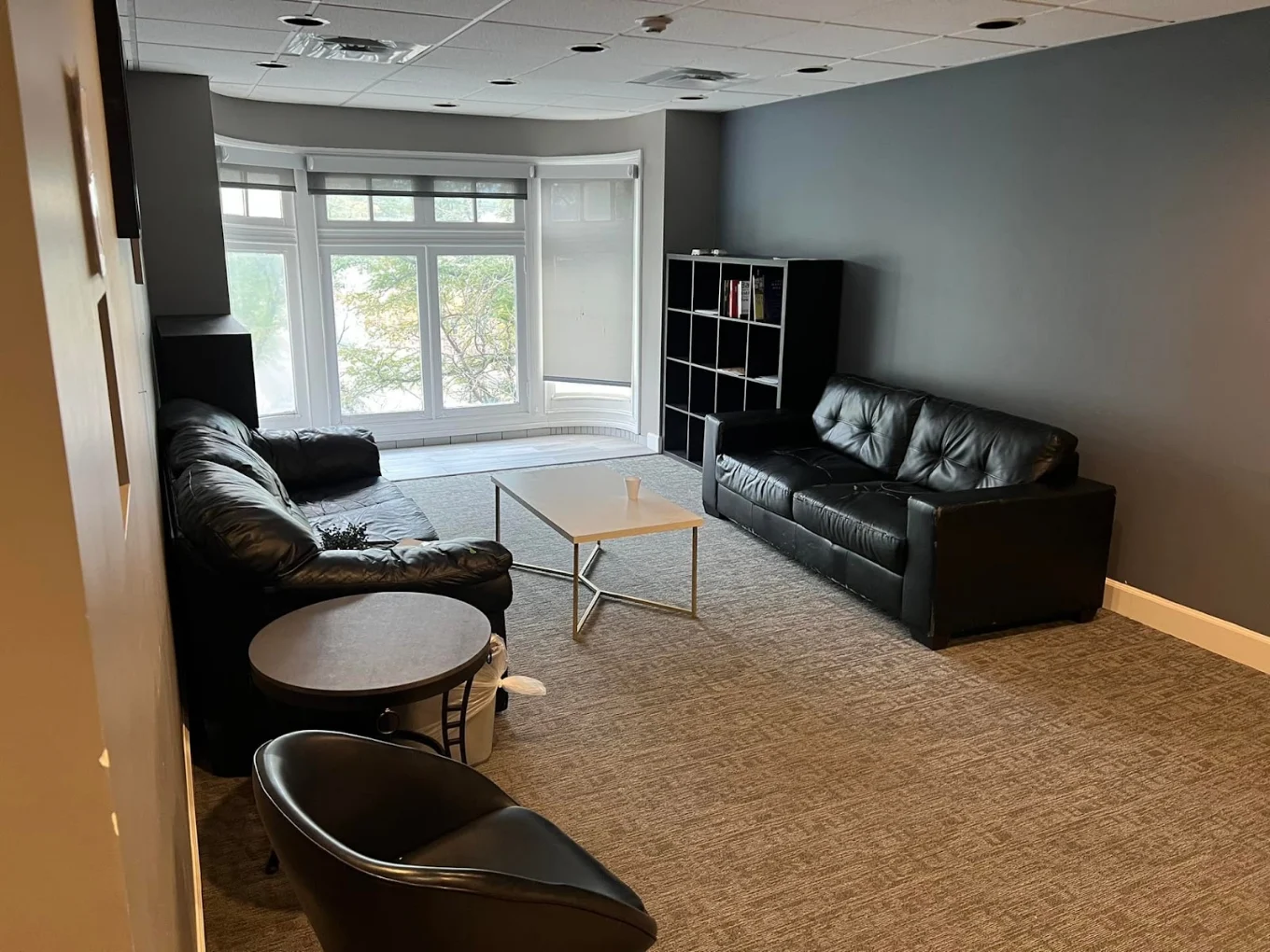 Media room with leather sofas and large windows