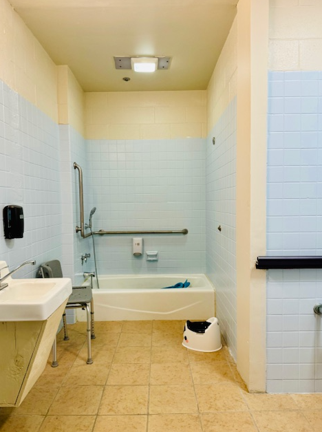 Accessible bathroom with grab bars and bathtub