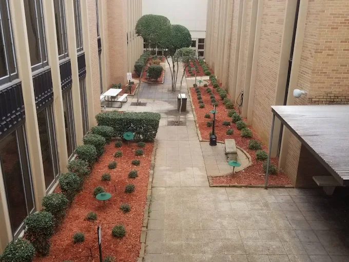 Outdoor courtyard with benches and trimmed shrubs