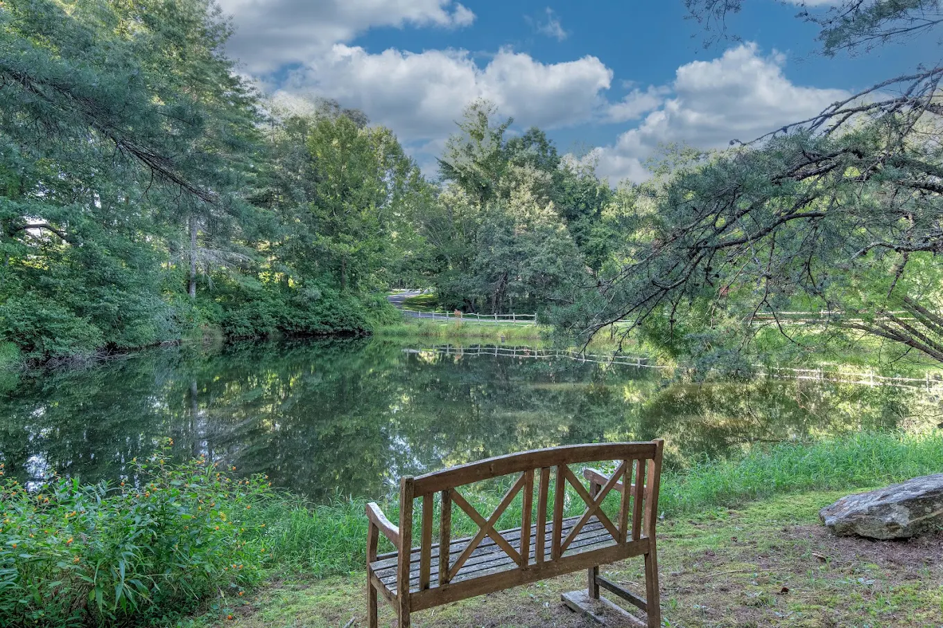 Peaceful pond with wooden bench surrounded by mature trees