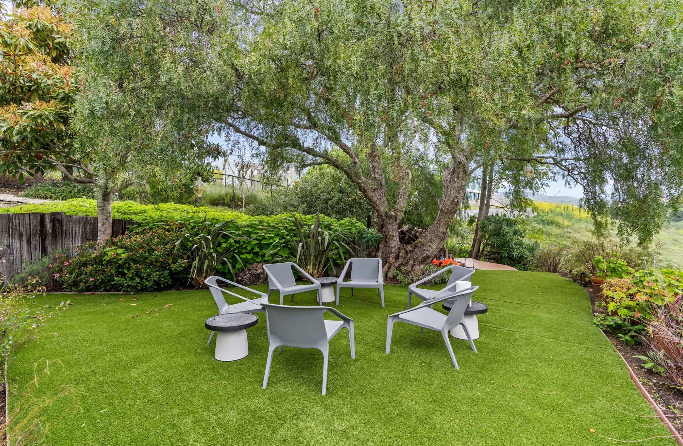 Outdoor seating area beneath mature trees