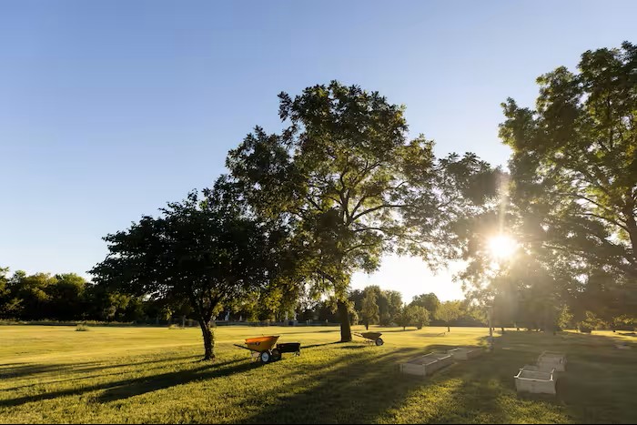 Outdoor path lined with trees leading to facility entrance