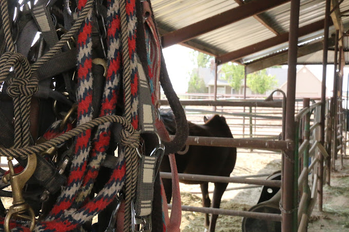 White River Academy Delta P3