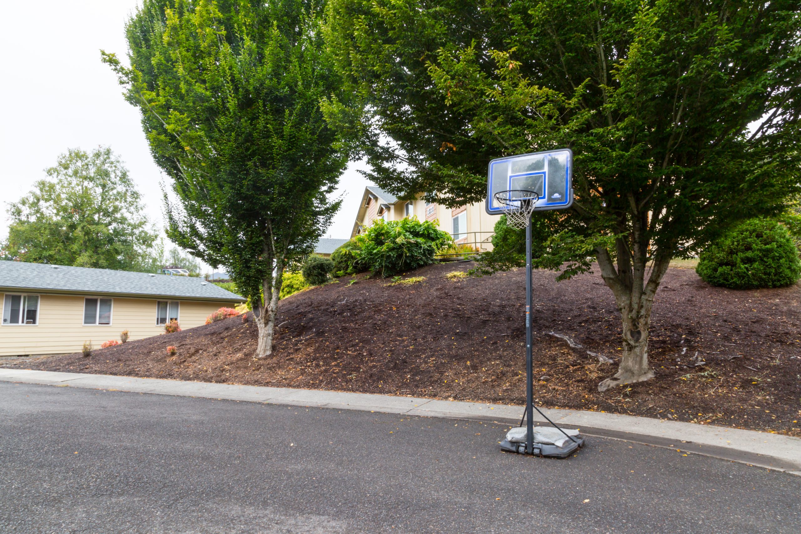 An outdoor basketball hoop near a landscaped hill and trees.