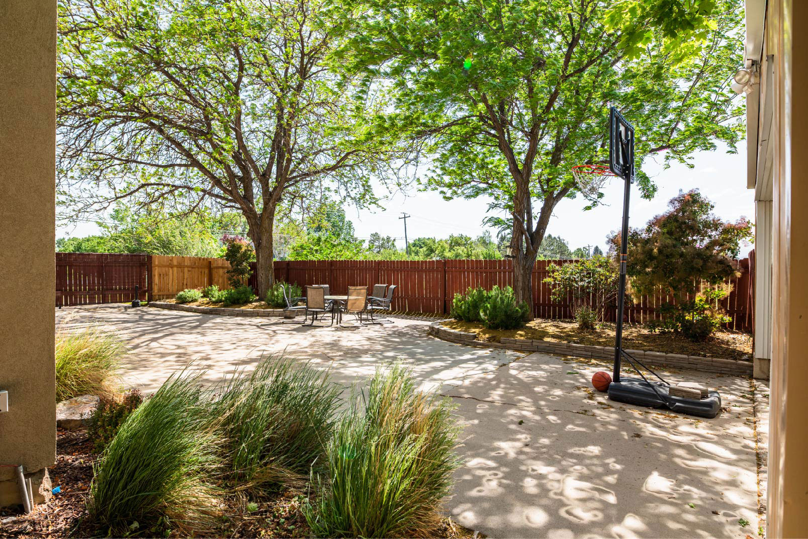 Outdoor patio with chairs, trees, and basketball hoop