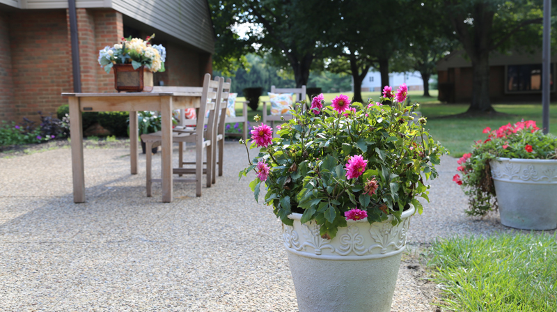 Patio seating beside flower planters and shaded green outdoor space