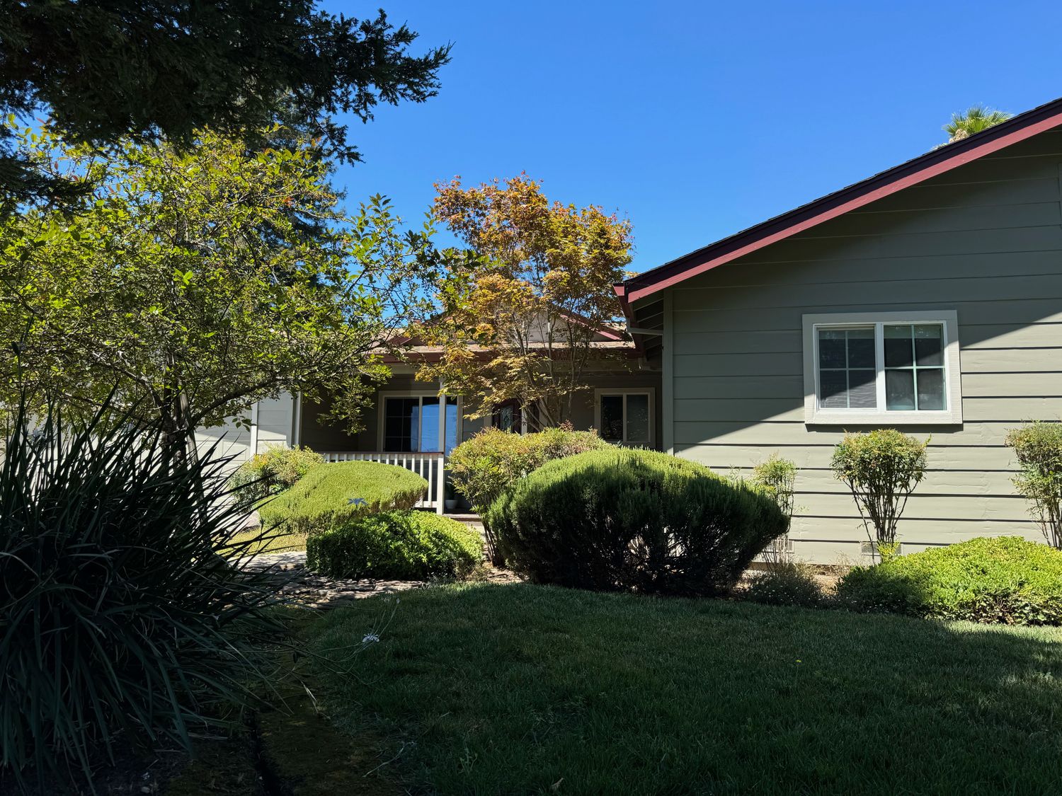 House exterior with shrubs and a sloped roof