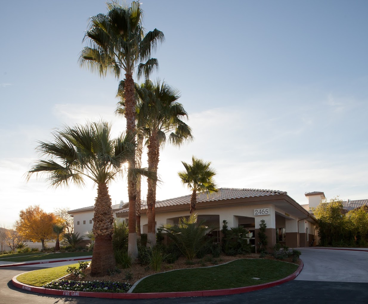 Rehab facility exterior surrounded by palm trees