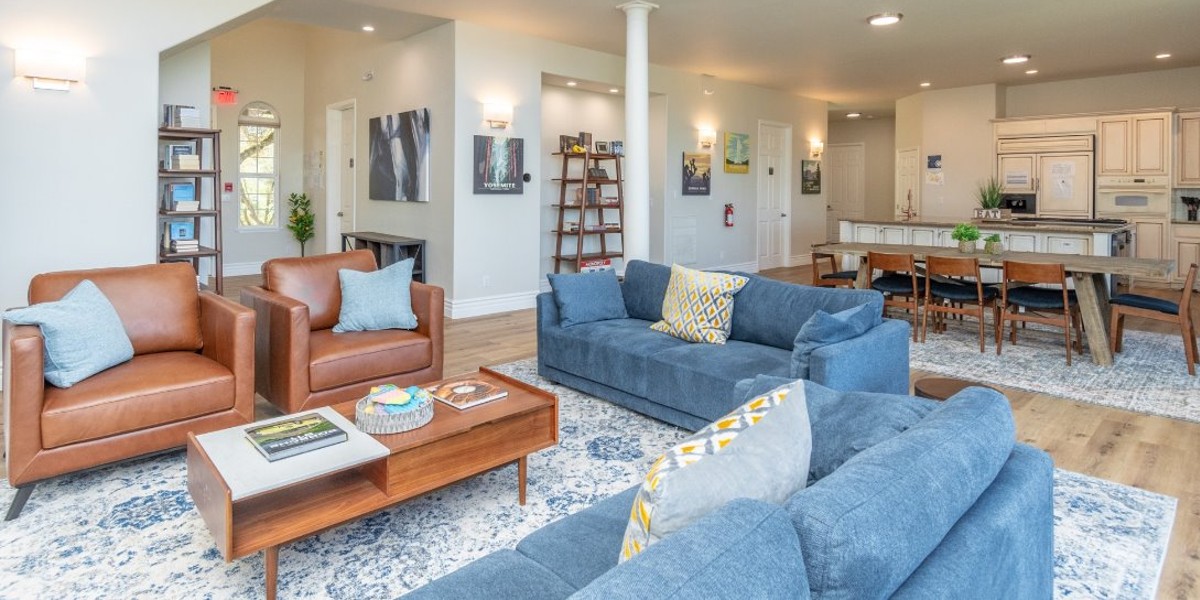 Spacious living room with sofas, bookshelves, and an open kitchen.
