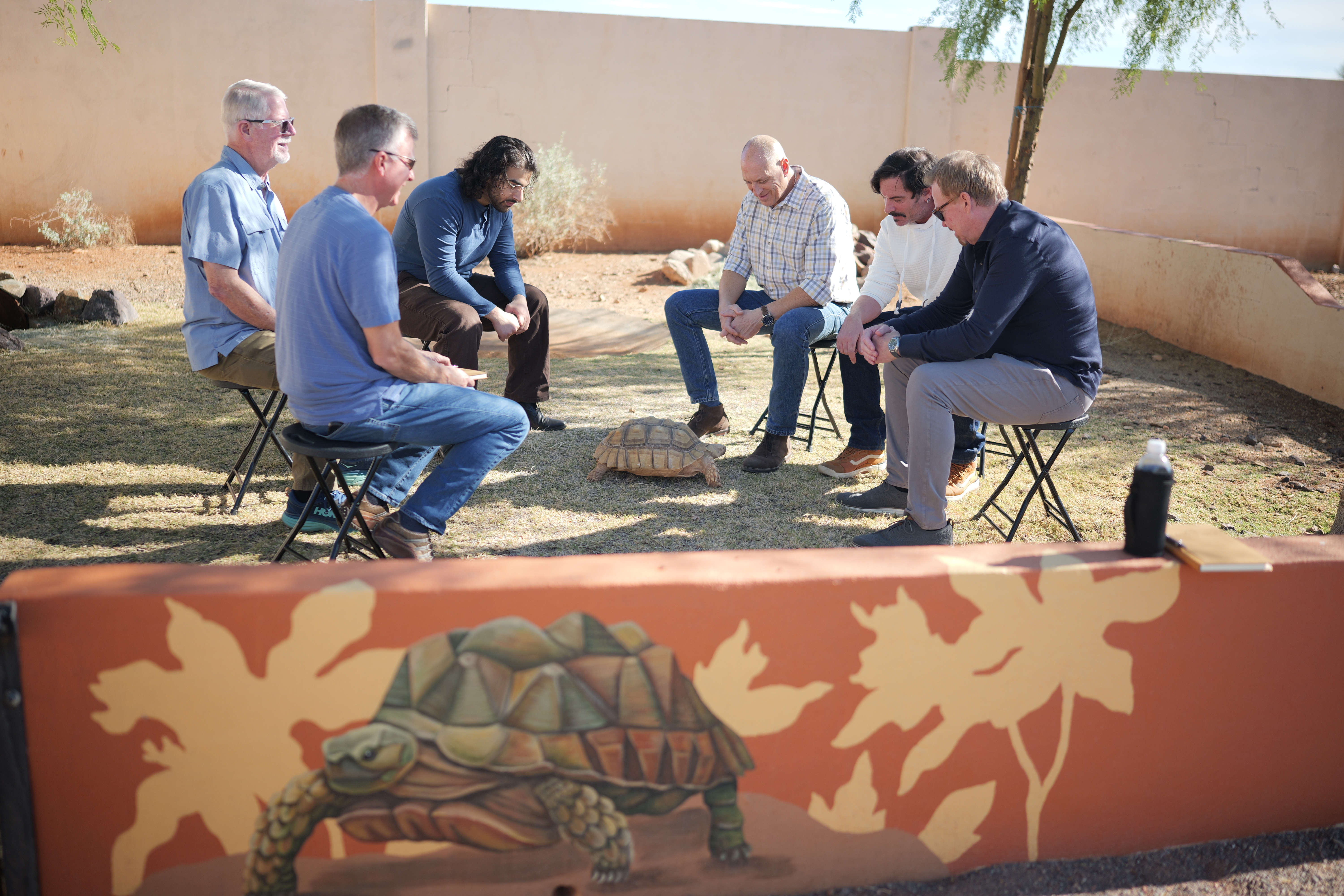 Group seated in a circle watching a tortoise in outdoor space