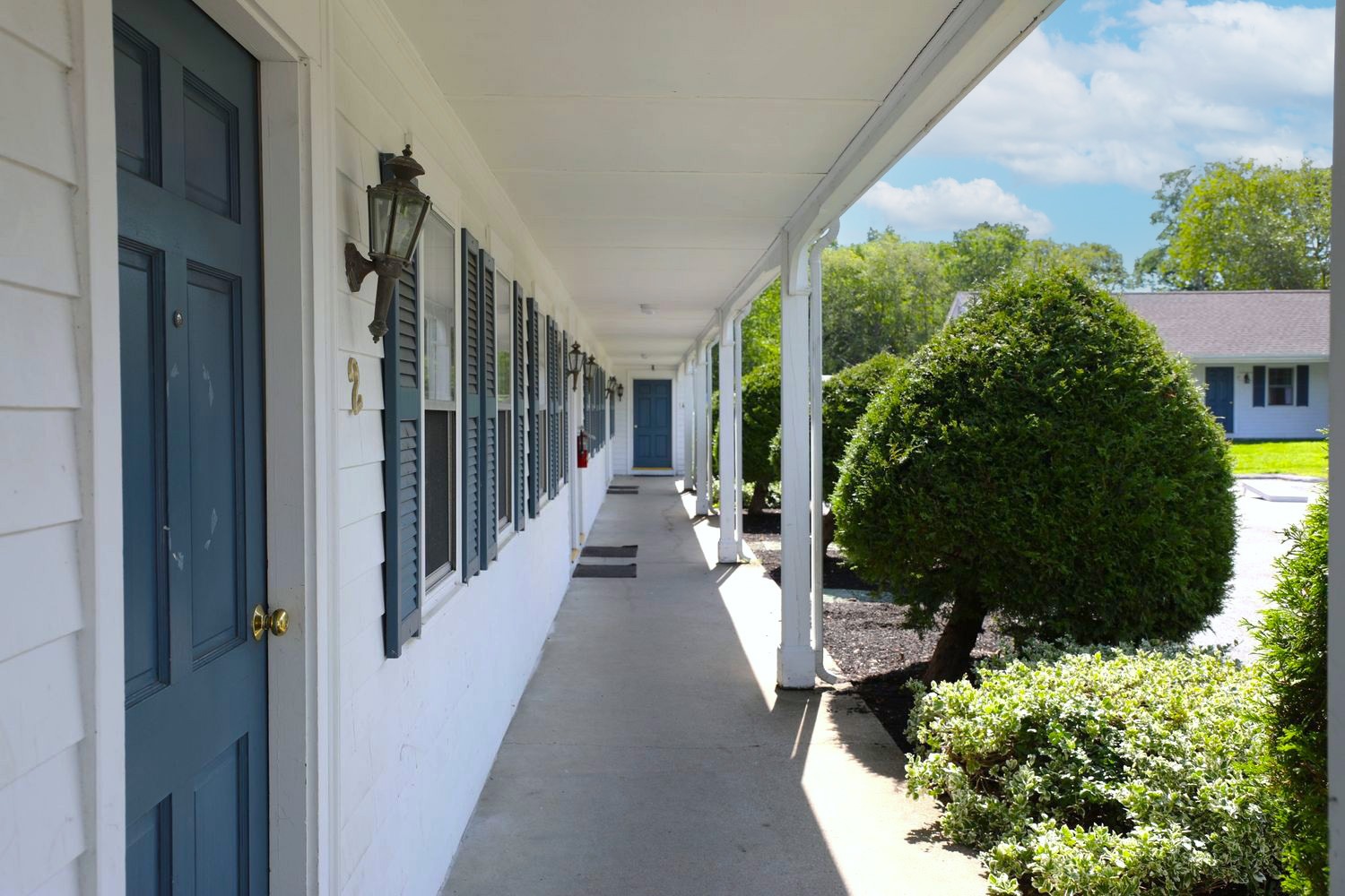 Outdoor walkway lined with doors and trimmed shrubs.