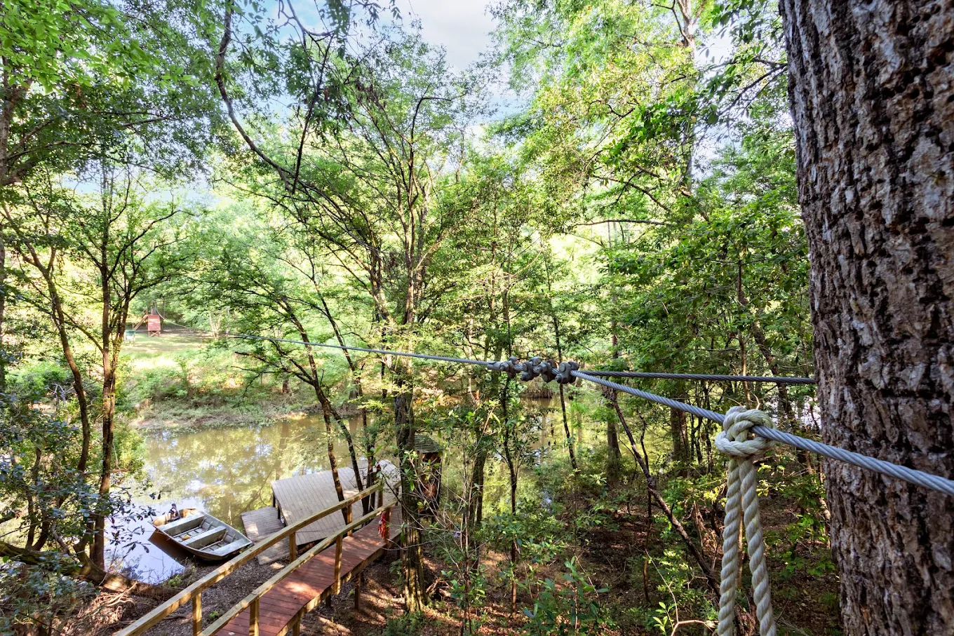 Forested outdoor area with walkway near water