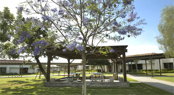 Courtyard with benches and shaded picnic tables