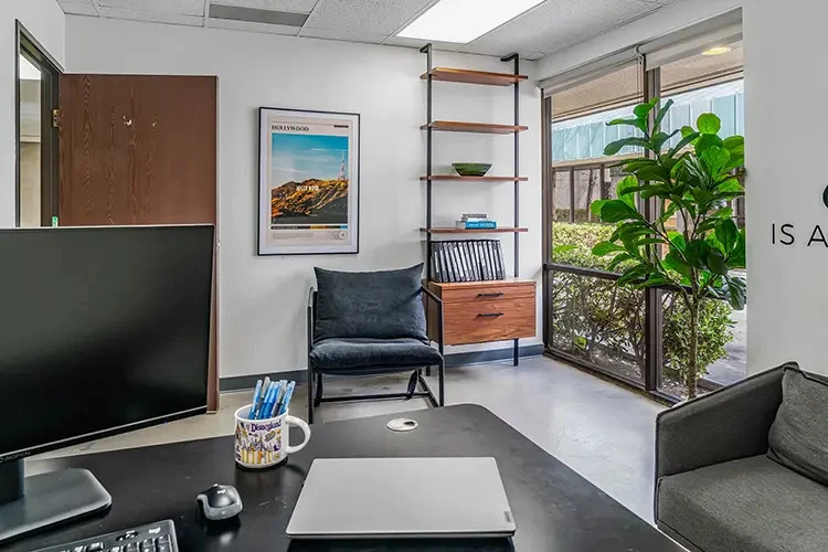 Sunlit office with desk, bookshelves, and a view of landscaped greenery outside
