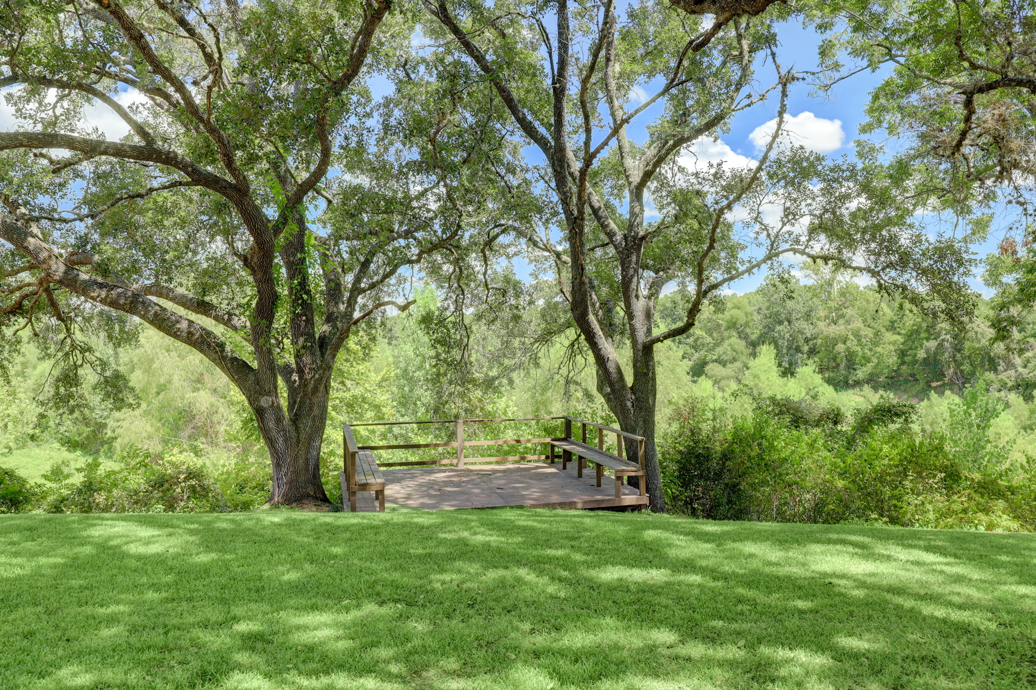 Orchard On The Brazos Recovery Wallis 5