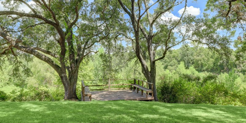 Orchard On The Brazos Recovery Wallis 5