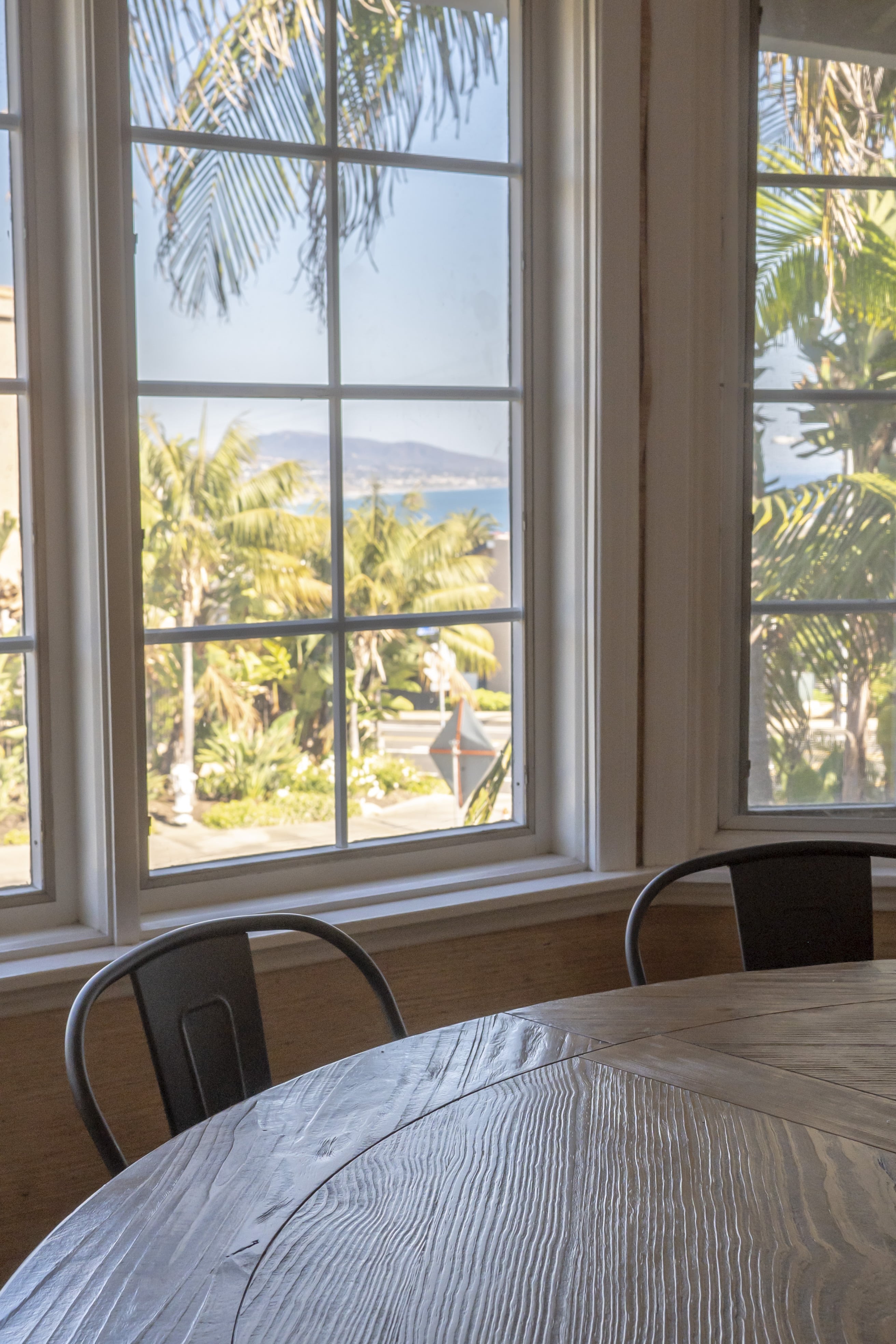 Ocean and palm trees seen through window