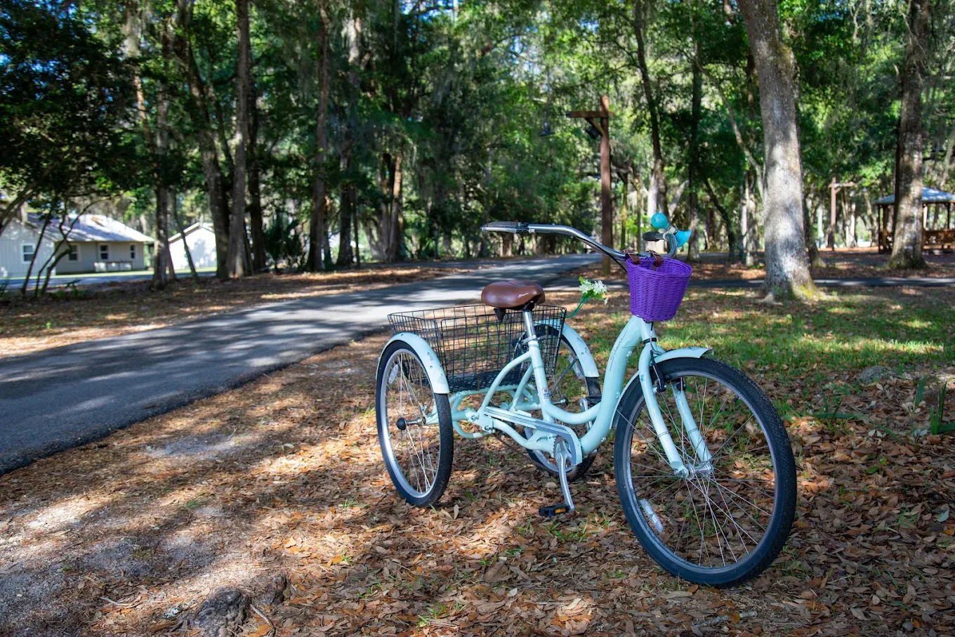 Bicycle parked beside a shaded campus road