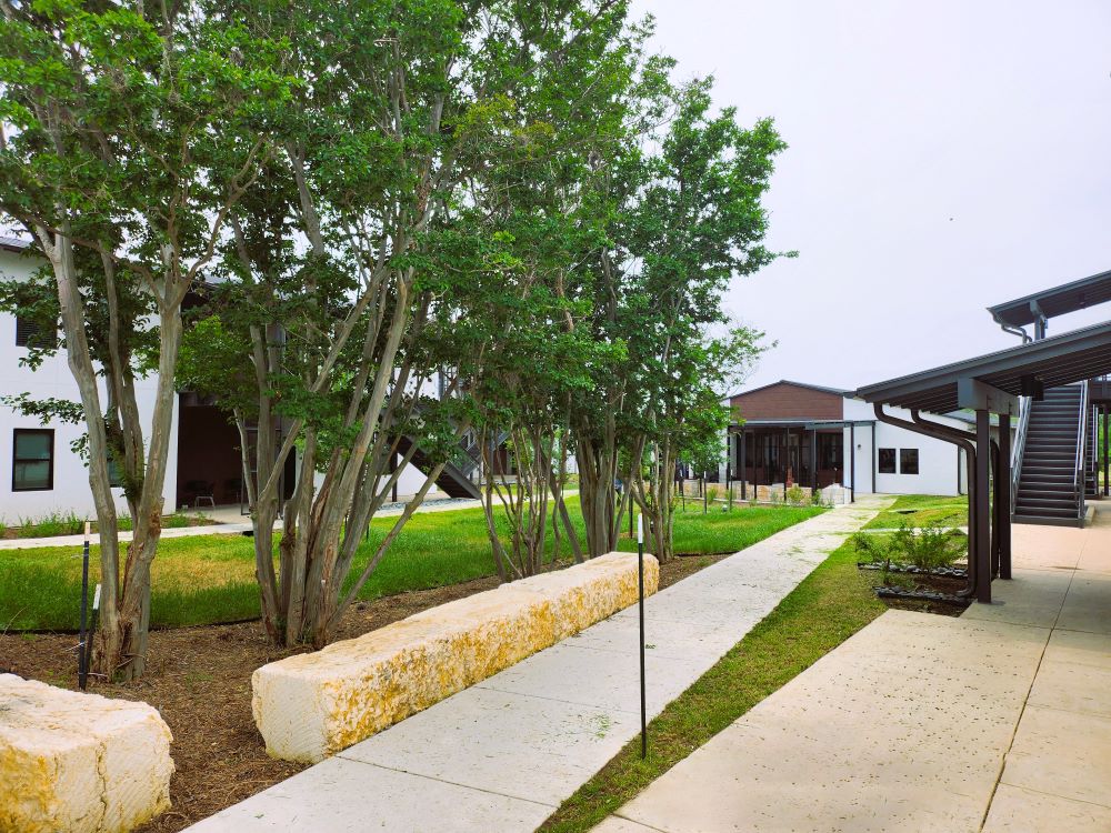 Courtyard with trees, walkways, and buildings