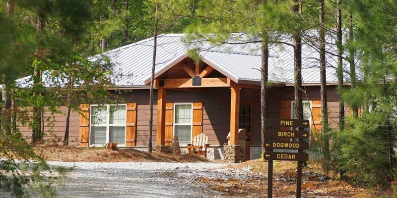  A cozy cabin nestled among tall pine trees, with a gravel path leading to the entrance. The setting is peaceful and secluded.