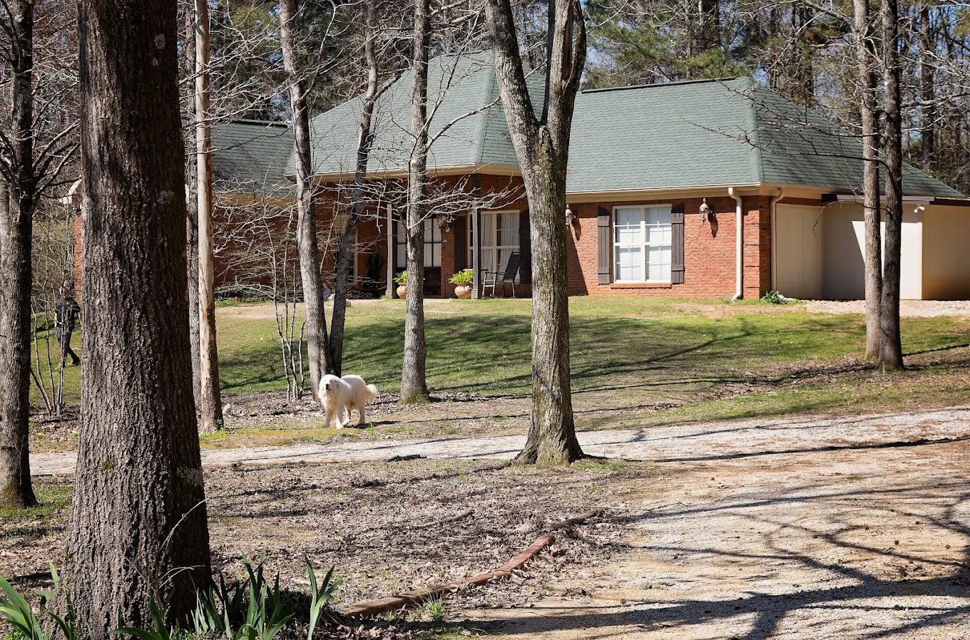 Brick residential building surrounded by trees and lawn