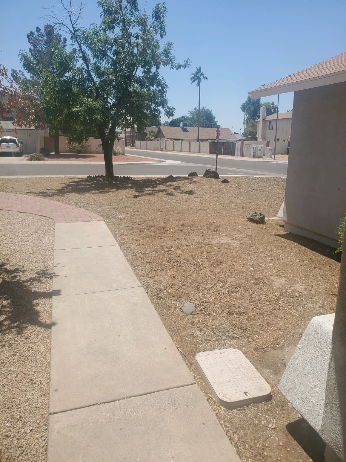 Sidewalk and yard area leading to the entrance of the HOPESS residential facility in a suburban Phoenix neighborhood