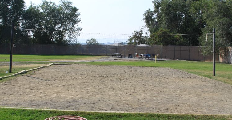 Sand volleyball court surrounded by grass and trees