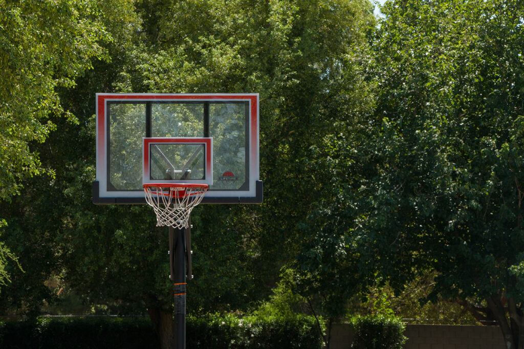 Basketball hoop surrounded by tall green trees