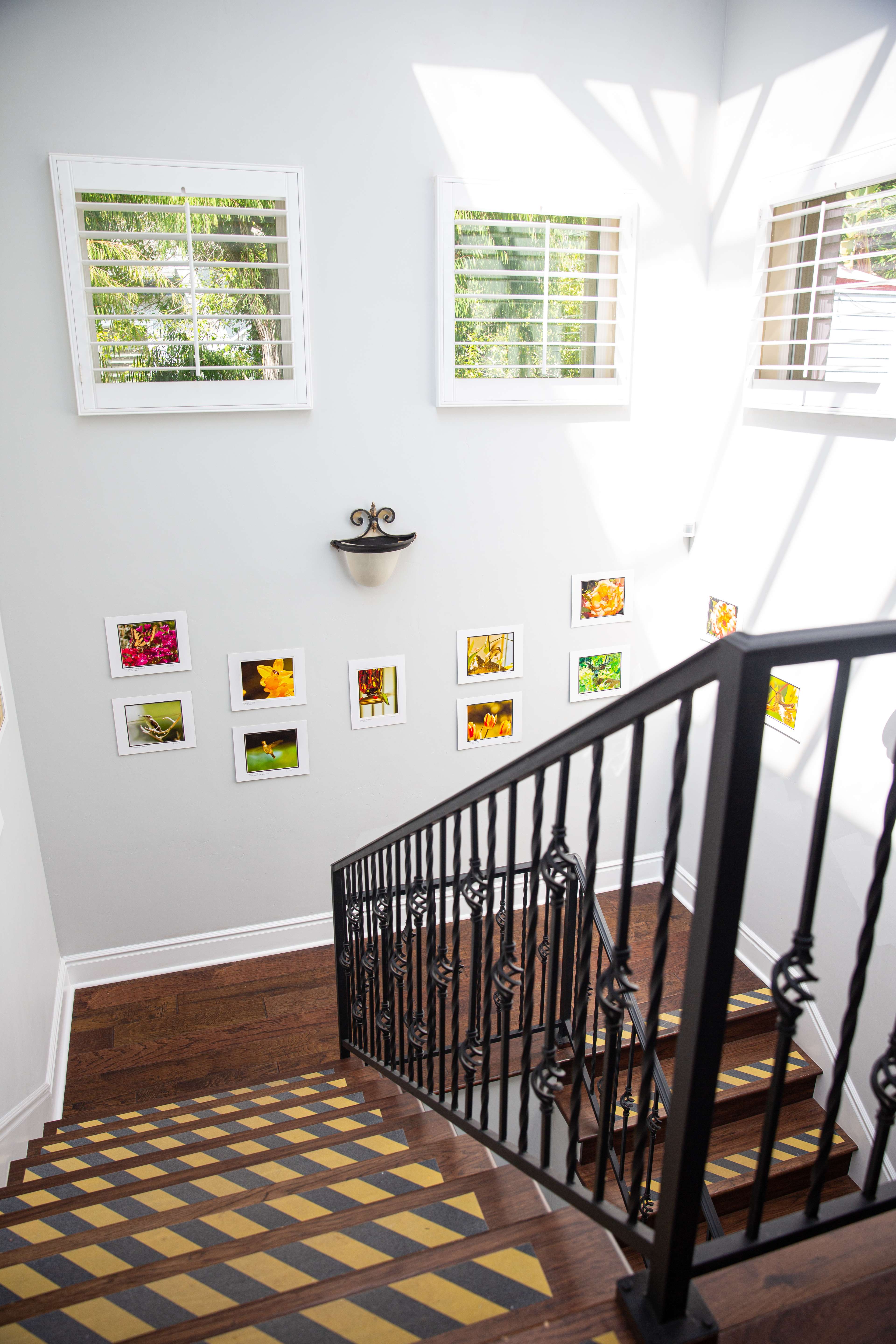 Framed floral art along stairwell with natural light and railing