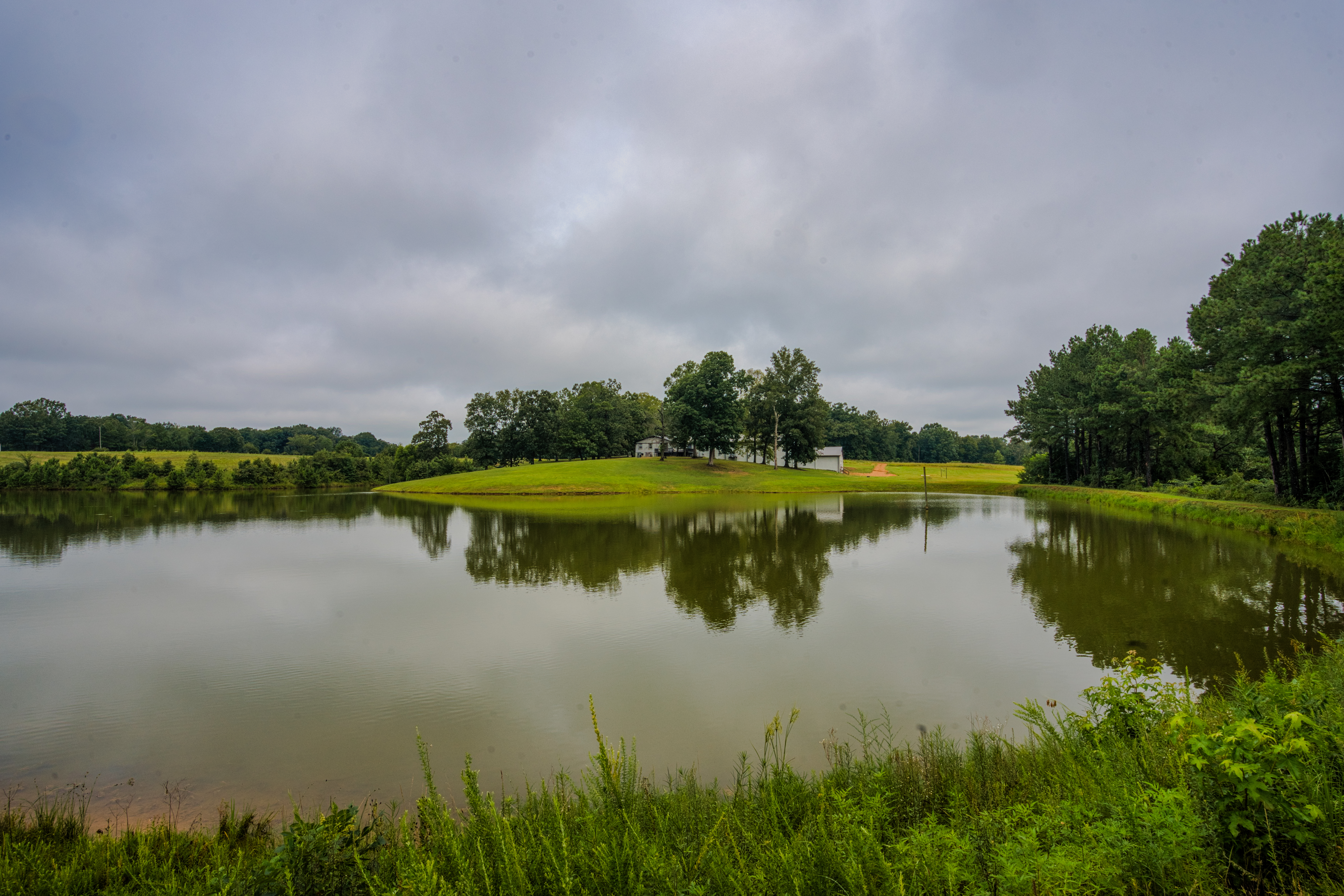 A reflective lake, expansive greenery.
