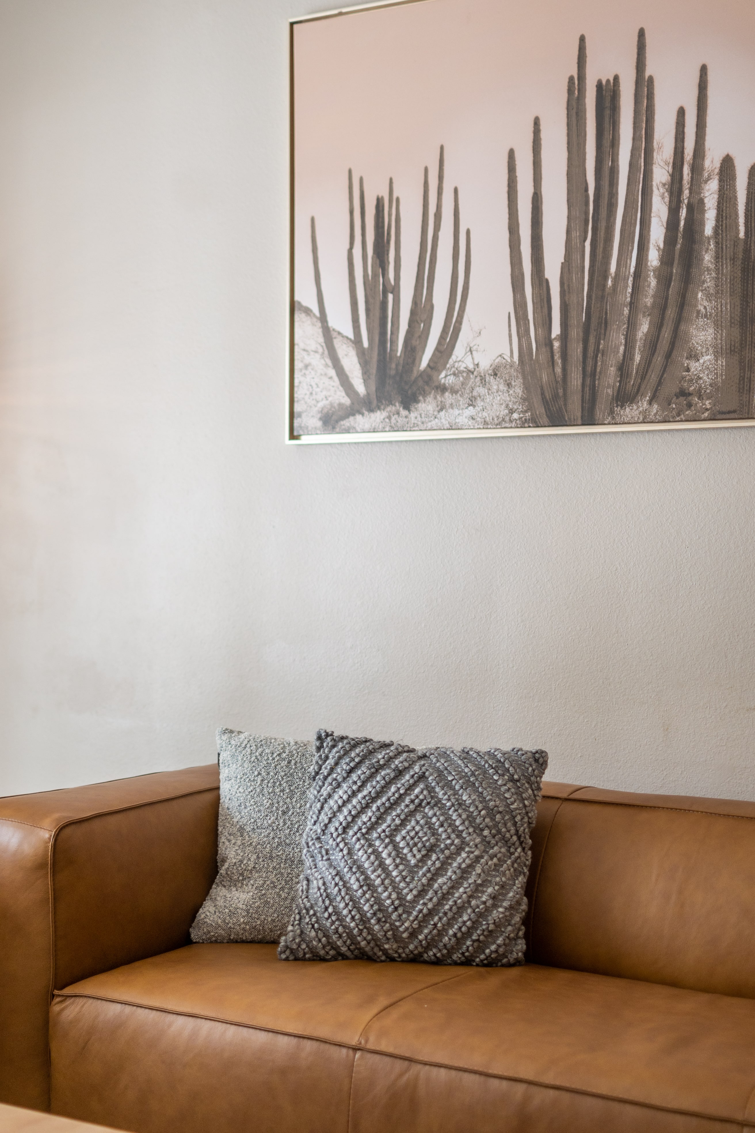 Close-up of sofa with pillows and cactus photo above