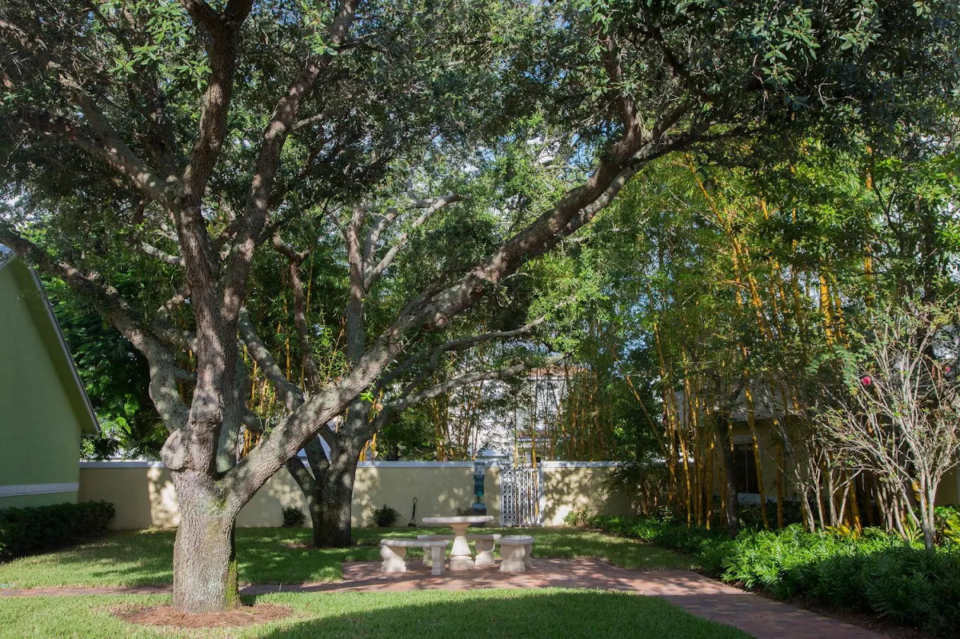 Shaded garden with large trees and stone picnic table