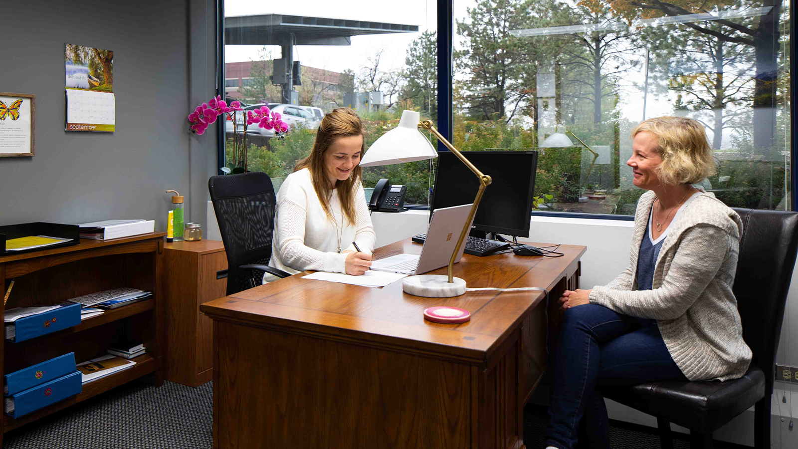 A therapist and a client in a counseling session at a wooden desk.