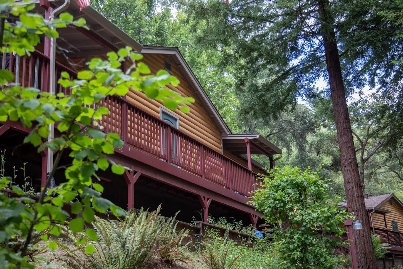 Rustic wooden cabin surrounded by tall trees and greenery