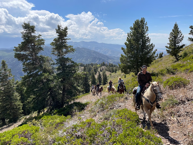 Group of men riding horses up a a green hill with mountains in the background.