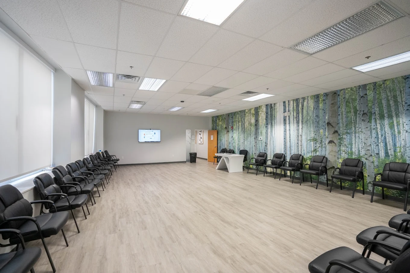 Spacious group therapy room with rows of chairs and a forest mural on the wall