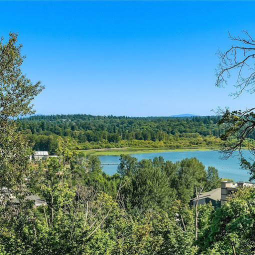 A lake surrounded by dense green trees.