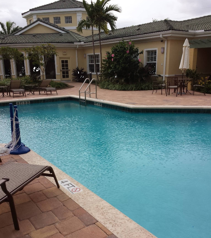 Outdoor pool surrounded by lounge chairs and palm trees