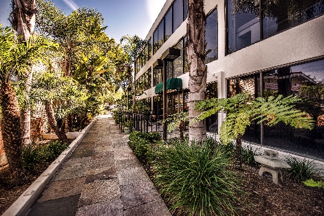 Palm-lined walkway beside modern rehab facility building